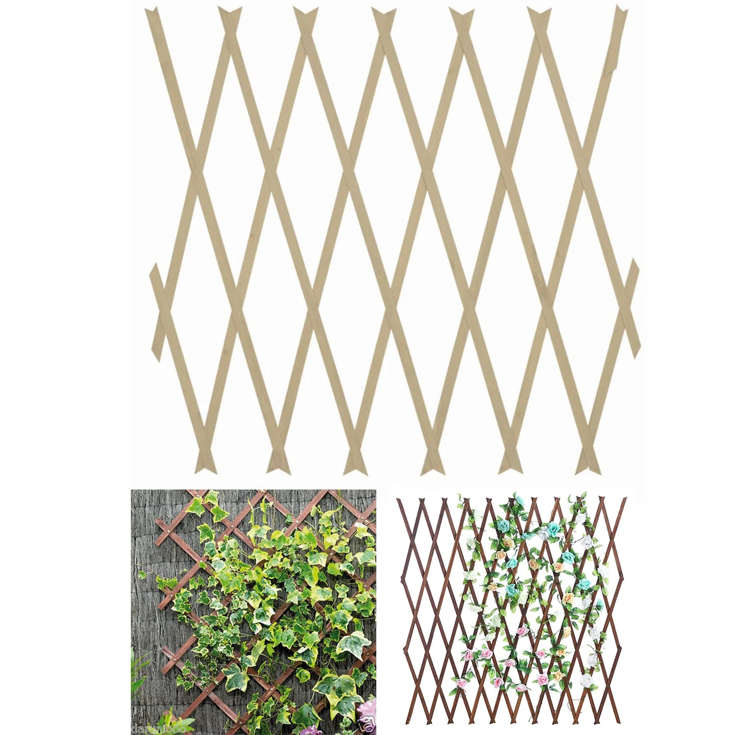 Fotos spanish, Montones de galerías de fotos en Alibaba.com, imagen spanish