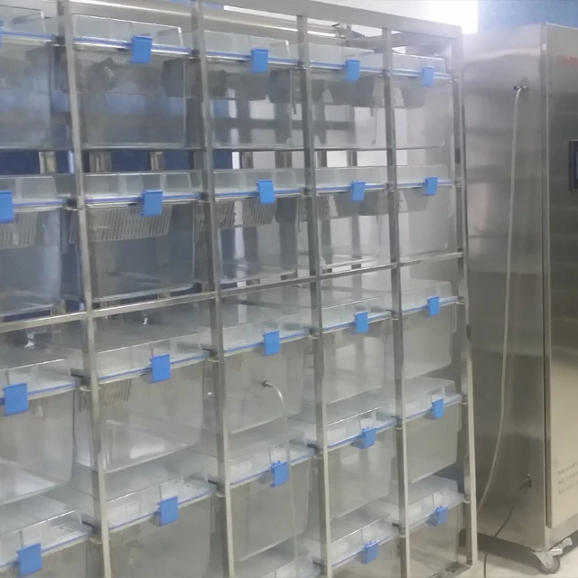 Individually Ventilated Ivc Laboratory Rabbit Cage Buy Ventilated Ivc