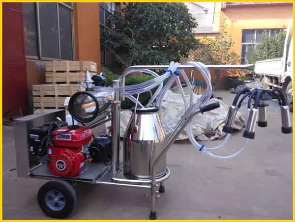 IMG_20141017_112143 .jpg