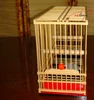 Unique wooden bamboo bird cage, make wooden bird cage for hot sale