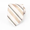 Ecru Strip 100% Real Microfiber Ties Set