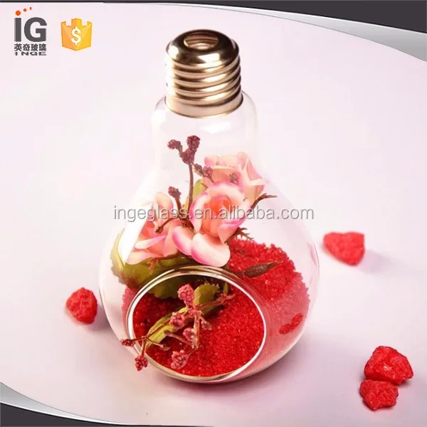 ガラス電球多肉植物テラリウムキット 新築祝いギフト用エアプランターテラリウム Buy ガラス電球多肉植物テラリウム 多肉植物テラリウムキット 空気プランターテラリウム用新築祝いギフト Product On Alibaba Com