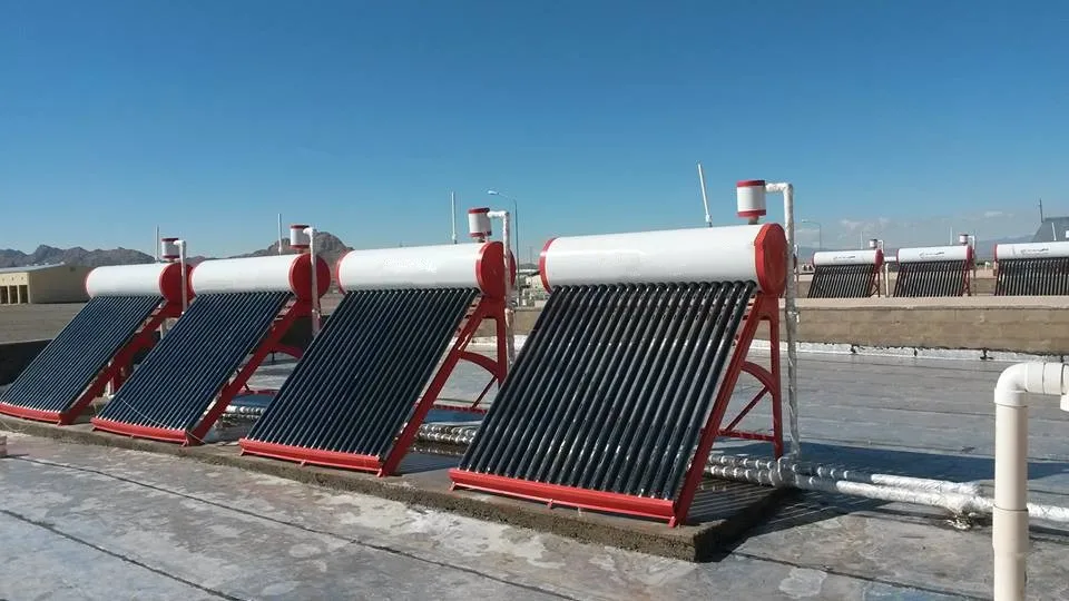 10009600_1456004477964652_172405785_n_