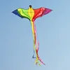 Amazon Factory Direct Sale High Quality New Product Easy Hand Flying Long-tail Colorful Animal Bird Professional Adult Kite Toy