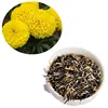 Wan shou ju 100 % Quality Top Brand high Budding Rate planting marigold flower seed
