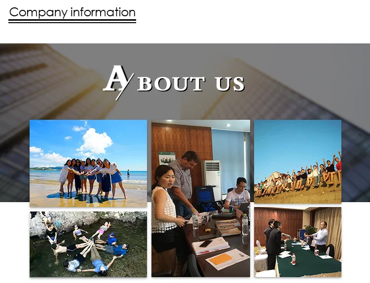 company information_