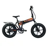 20 inch Alloy Electric Foldable Bicycle with Bafang All in one Rear Motor 48V 750w with Rear Rack for off road