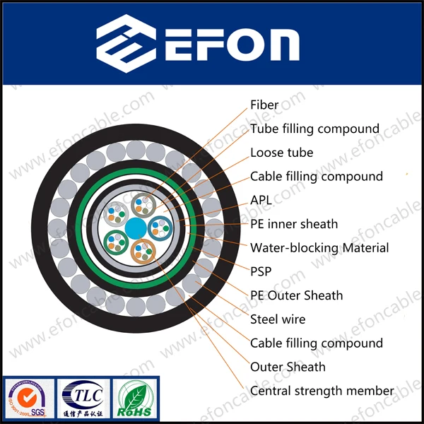 submarine Fiber Optic Cable.jpg