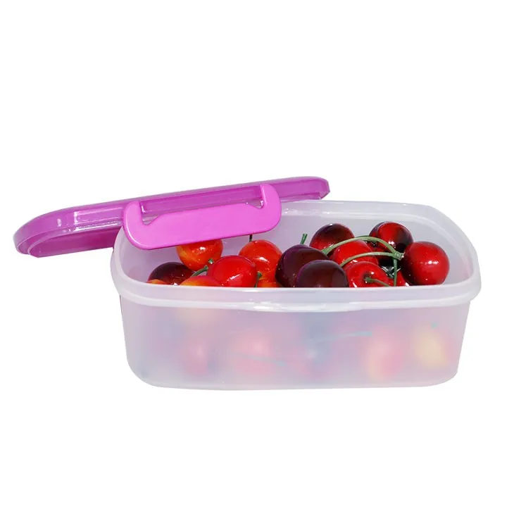 Wholesale Biodegradable Bento Box And Custom Recyclable Buy Bento Box