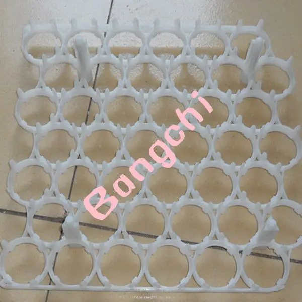 egg tray_