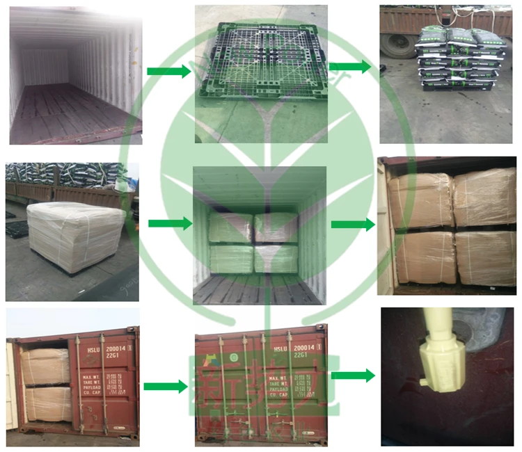 amino acid transport