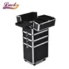Custom Pattern Aluminum Nail Trolley Case