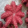 top urgent want to buy frozen flower shape octopus