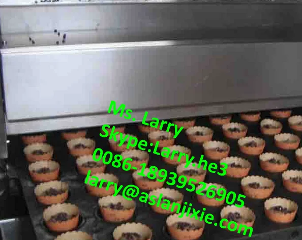 automatic spreading machine11.png