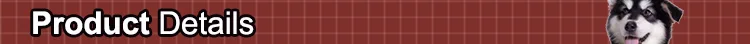 banner2 .jpg