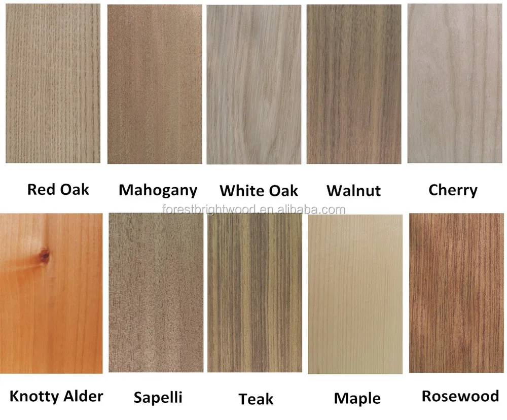 Four Different Types of Wooden Doors