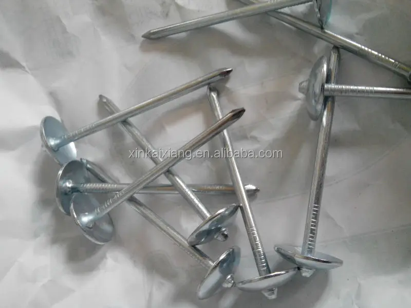 Iron Material And Roofing Nails Type Cheap And High Quality Zinc