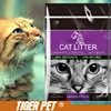 Grain Free PURE Recipes Cat Wet Food with Trout...