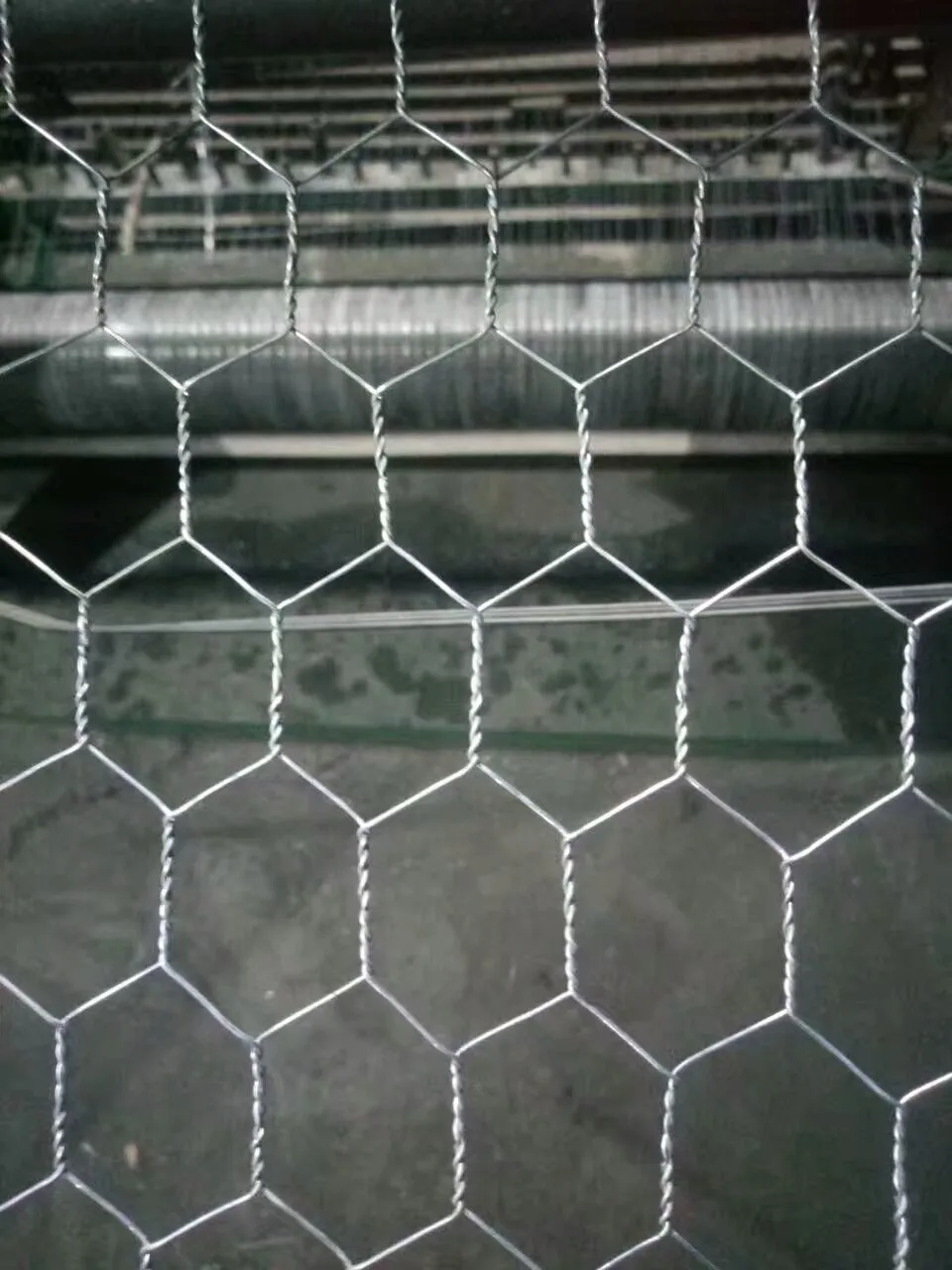 1 2 inch chicken wire