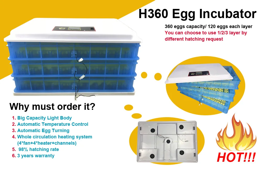 Snail Eggs For Sale Small Egg Incubator Price Hatcheries ...