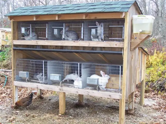 Rabbit house pictures Rabbit house pictures