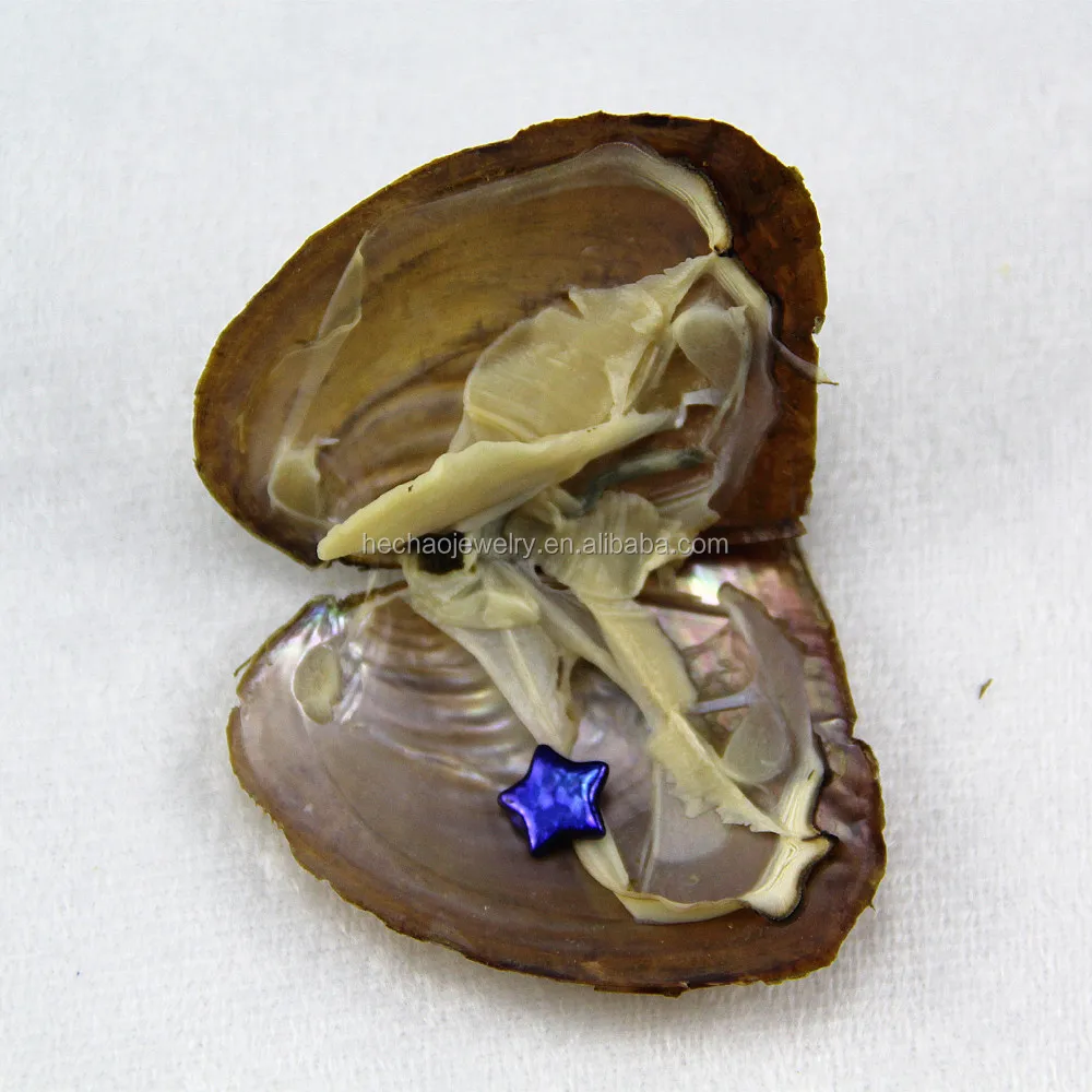 Wholesale Oyster Shells With Natural Pearl,911mm Baroque Pearls,Star