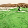 HDPE shadow mesh 35% -95% shading rate 60g/m2 sunshade net for agricultural