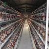 Poultry chicken layer cage/animal cage/large chicken cage