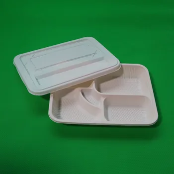 disposable plastic plates with dividers