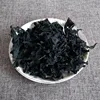 /product-detail/9003-haizao-china-supplier-fresh-dried-sea-kelp-seaweed-for-sale-60705420564.html