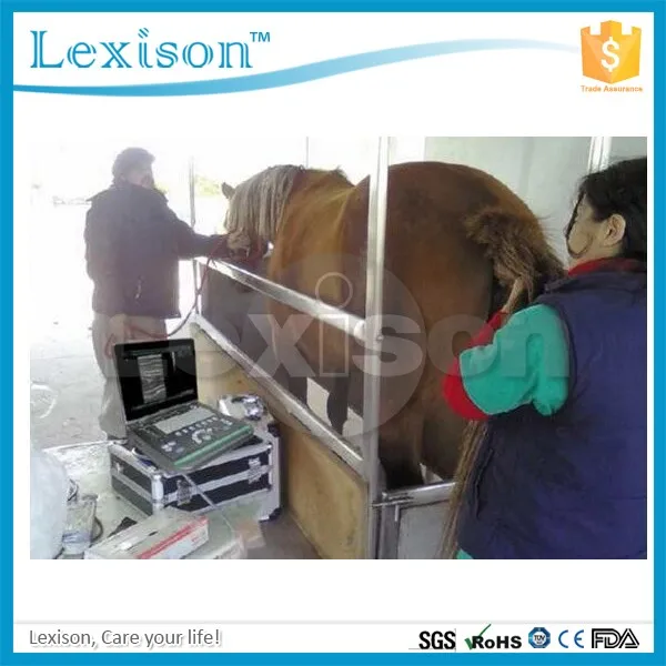 Veterinary Clinic image with logo 1.jpg