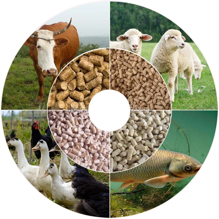 Корм для непродуктивных животных. Корма для домашнего скота. корма для непродуктивных животных. производство готовых кормов для непродуктивных животных. декларация на корм для непродуктивных животных.