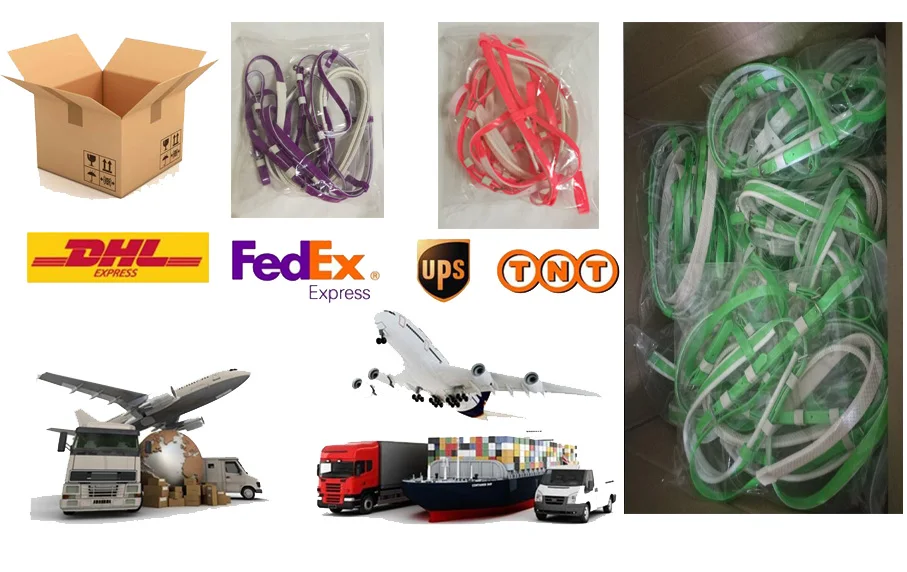 package a shiing bridle