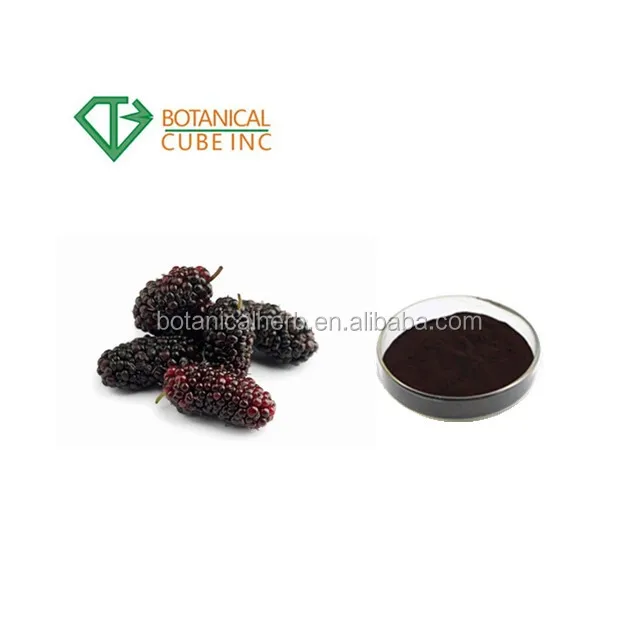 100 Natural Mulberry Fruit Extract Buy Mulberry Powder,Mulberry
