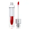Long Lasting High Quality Waterproof Private Label Cosmetic Matte Liquid Lipstick