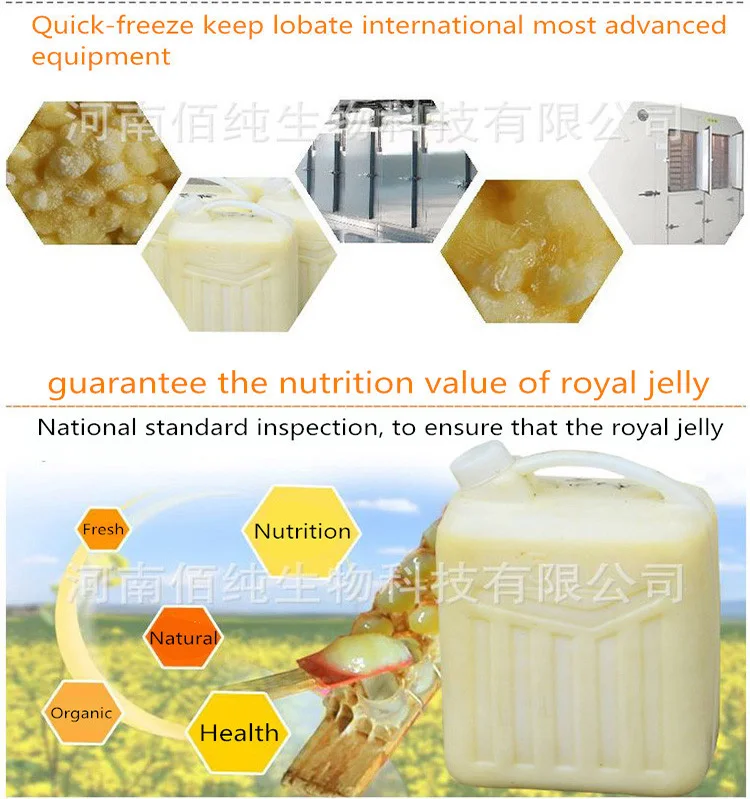 Royal Jelly,The Treasure Of Longevity Health Fresh Royal Jelly Bulk Bee Milk As Queen Bee Food