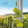 Excellent Galvanized Steel Vineyard Post