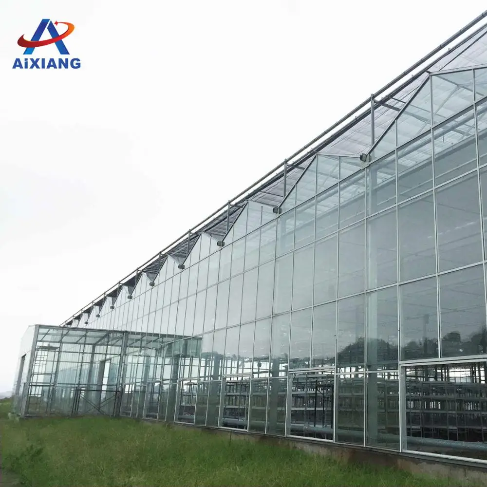 Aixiang الاقتصادية حديقة بناء معدات الدفيئات الزراعية