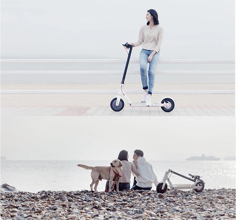 2020 New Arrival 350W Fast Charge Removable Battery Electric Scooter With Sharing APP