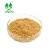 Pure organic top quality Ginkgo biloba extract Chinese factory content 24%