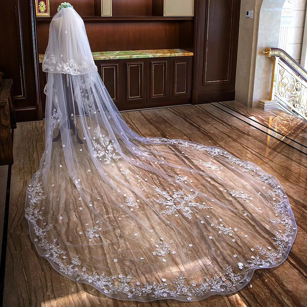 cathedral veil with long train