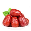 Chinese organic red dates sweet jujube fresh jujube fruit