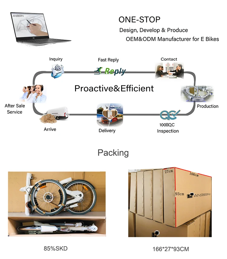 electric mountain bike bicycle