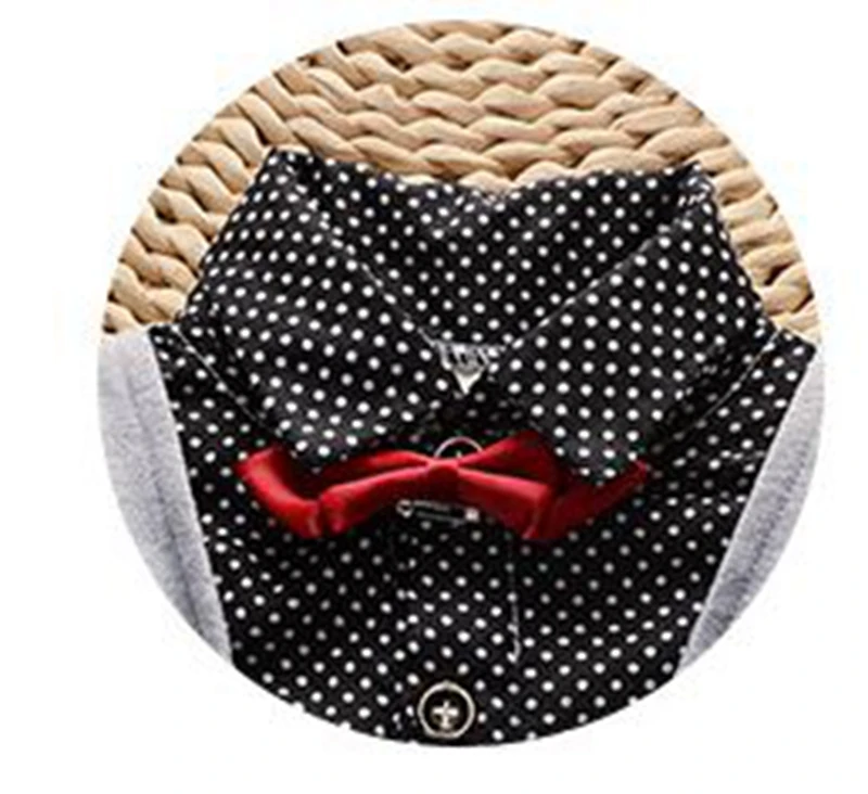 10219799740_1383651172 (1).jpg