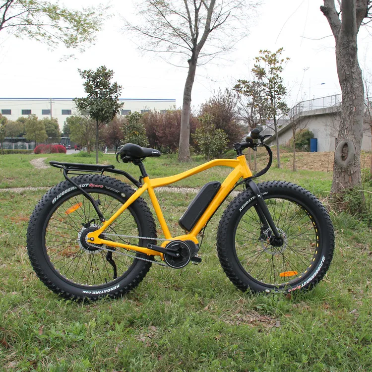 electric power assisted bicycle