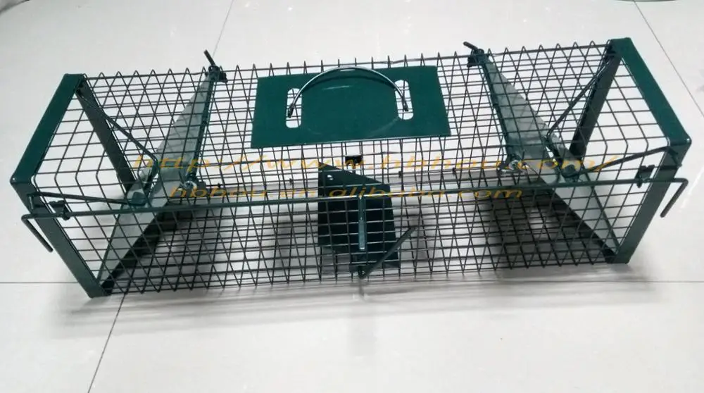 Welded Wire Mouse Trap Cage Buy Cage,Trap Cage,Mouse Trap Cage