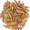 Dried Grasshopper, Freeze Dried Locusts