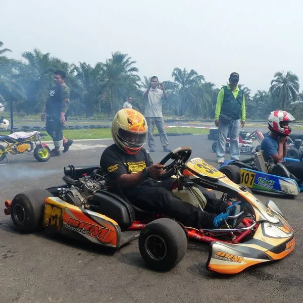 Q200 professionele fabrikant f1 racing goedkope karts te koop