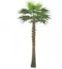 2019 Quality goods palm tree indoor outdoor artificial plants anti-UV long lifetime big tree