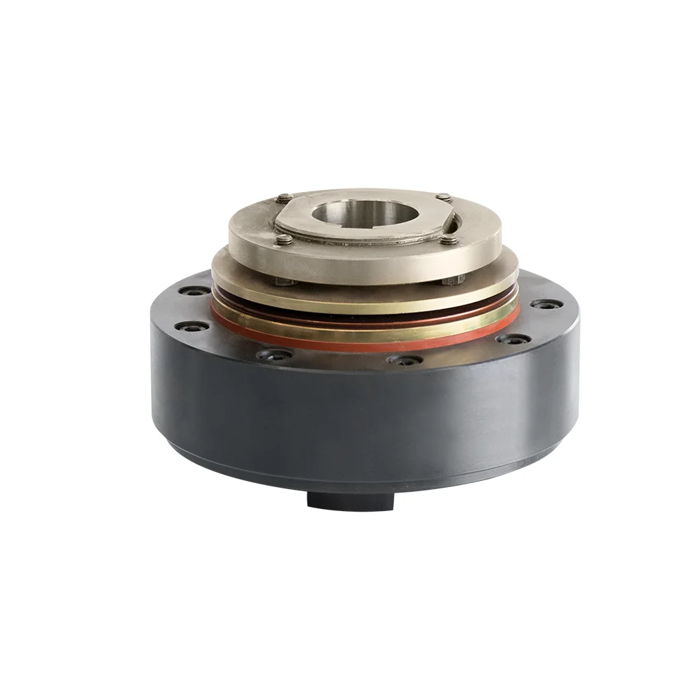 Oem Facoty Safefy Disc Torque Limiter Friction Type Torque Limiter
